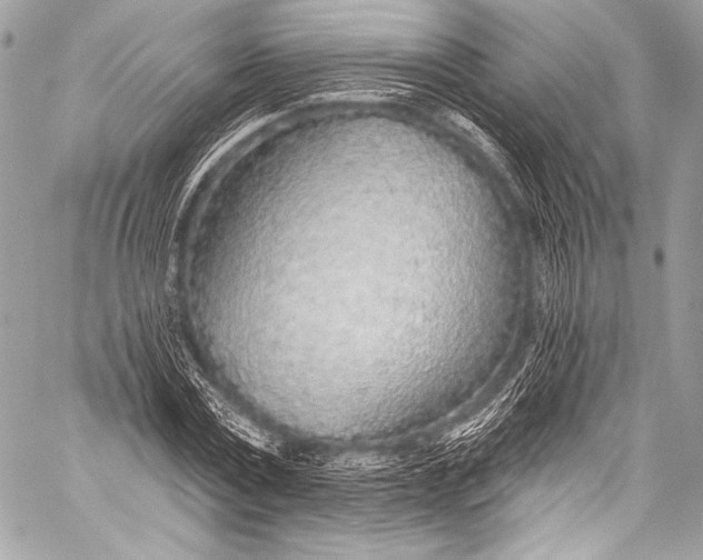 X0000058810779200510171533