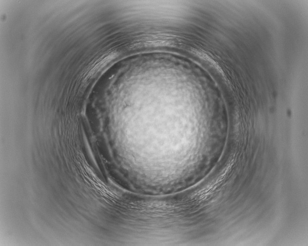 X0000058810785200510171533