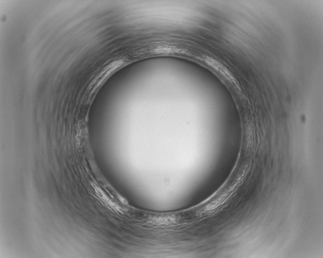 X0000058810801200510171533