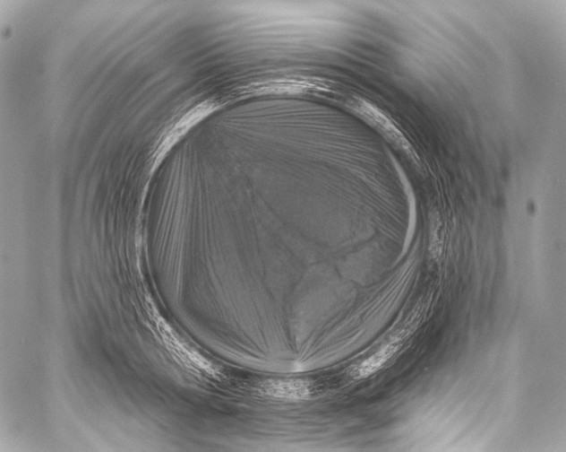 X0000058810802200510171533