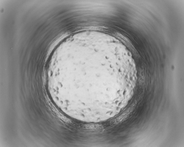 X0000058810804200510171533