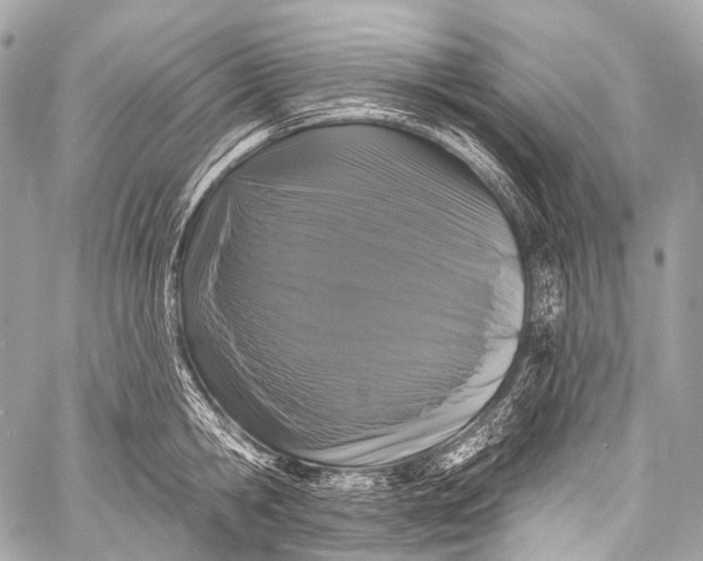 X0000058810806200510171533