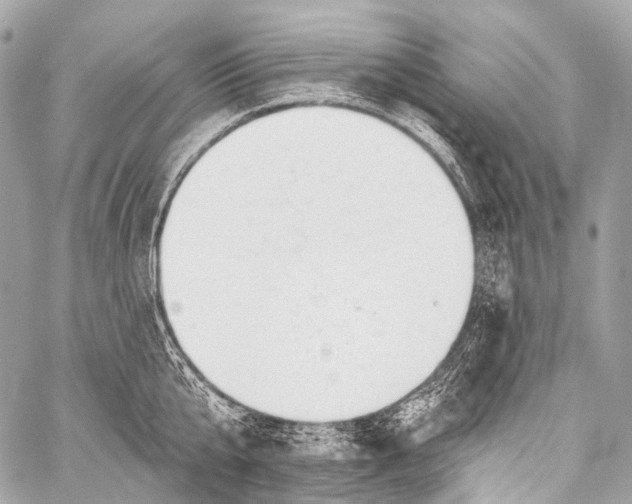 X0000058810807200510171533