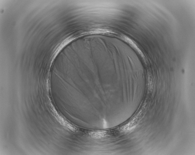 X0000058810810200510171533