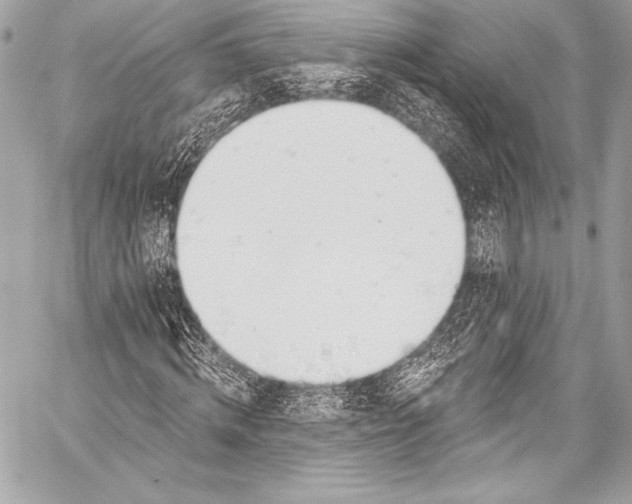 X0000058810820200510171532