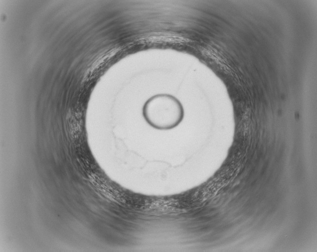 X0000058810824200510171532