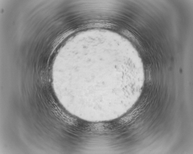 X0000058810828200510171532
