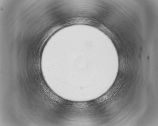 X0000058810836200510171532