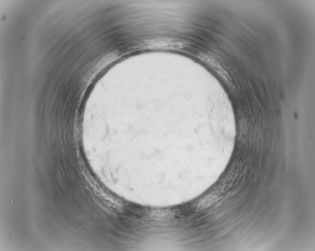 X0000058810848200510171532