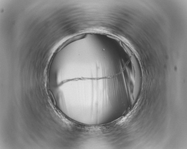X0000058810862200510171533