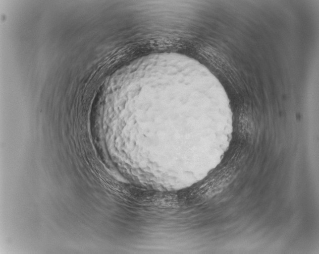 X0000058810865200510171532