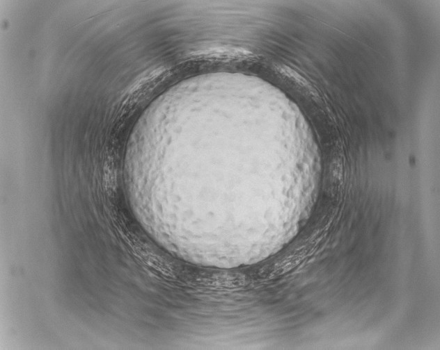 X0000058810869200510171532