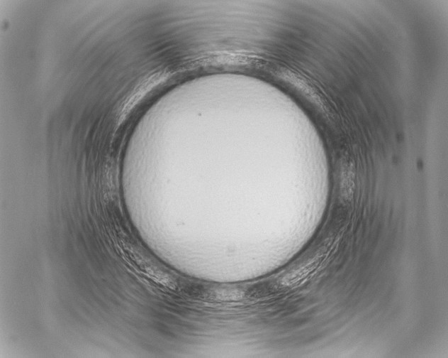X0000058810878200510171532