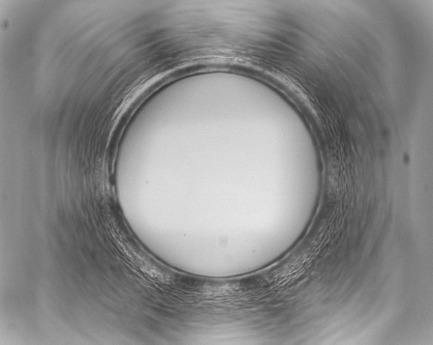 X0000058810887200510171531