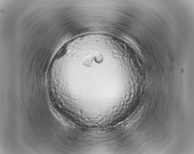 X0000058810907200510171531