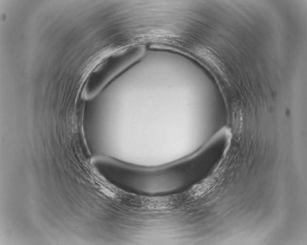 X0000058810924200510171530