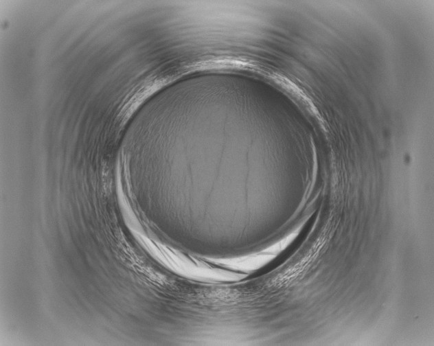 X0000058810945200510171531