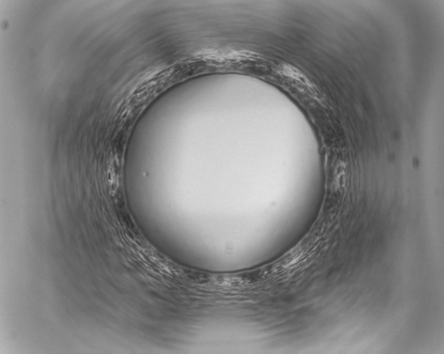 X0000058810966200510171530