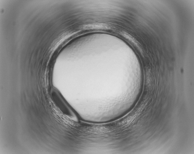 X0000058810983200510171530