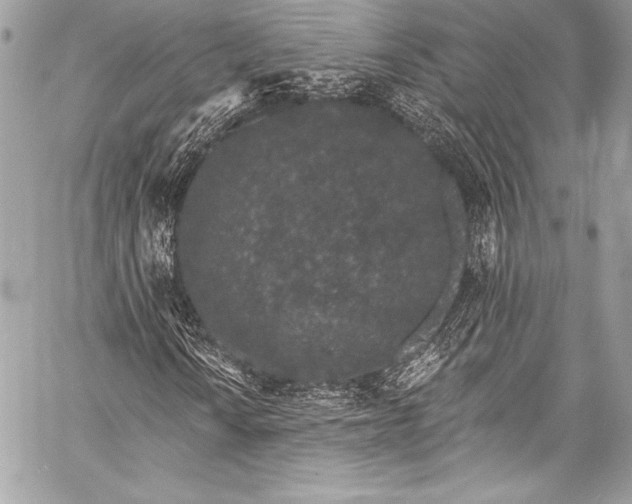 X0000058811010200510171529
