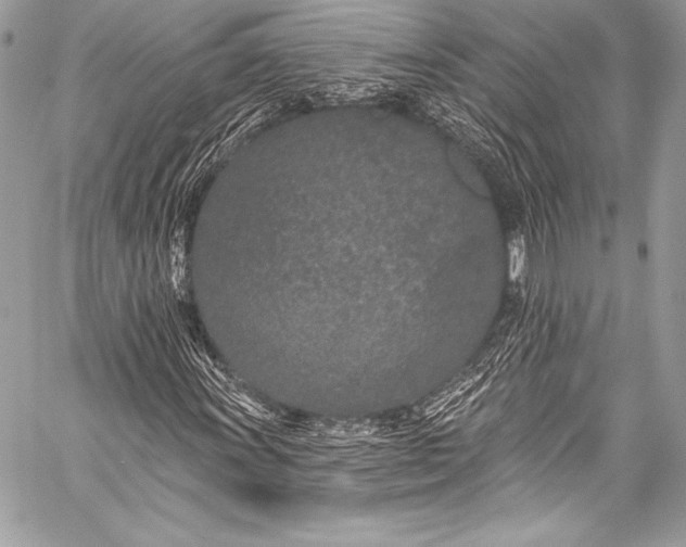 X0000058811011200510171529