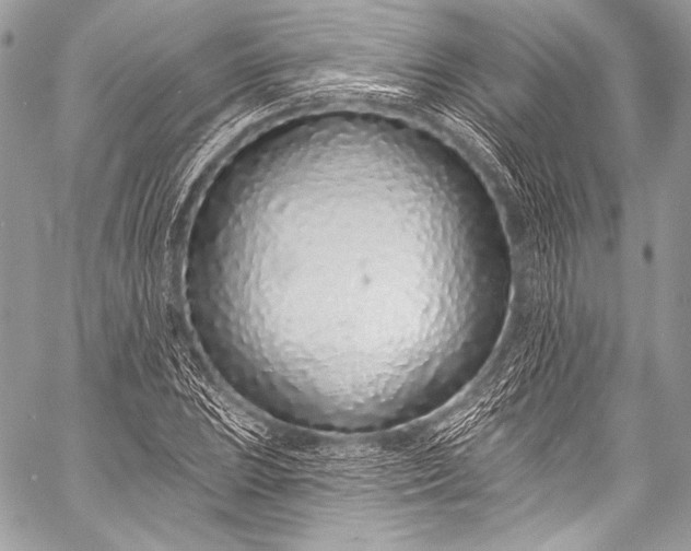 X0000058811023200510171529