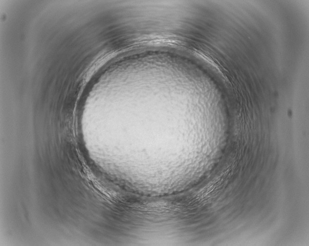 X0000058811031200510171529