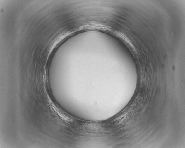 X0000058811040200510171529
