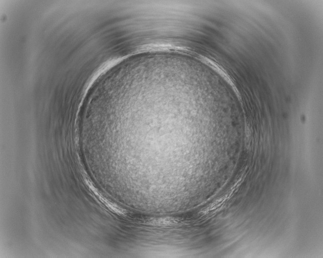X0000058811045200510171529