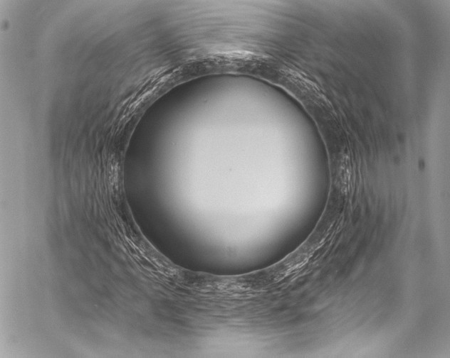 X0000058811061200510171529