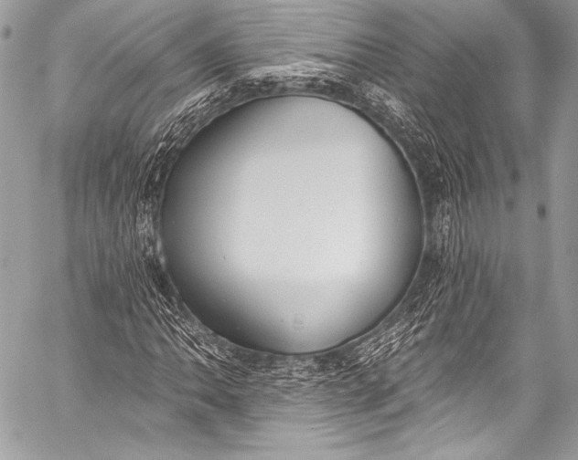 X0000058811062200510171529