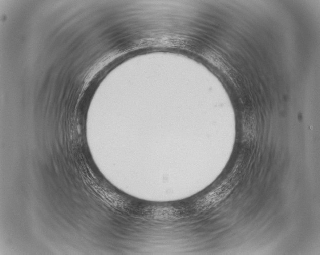 X0000058811070200510171529
