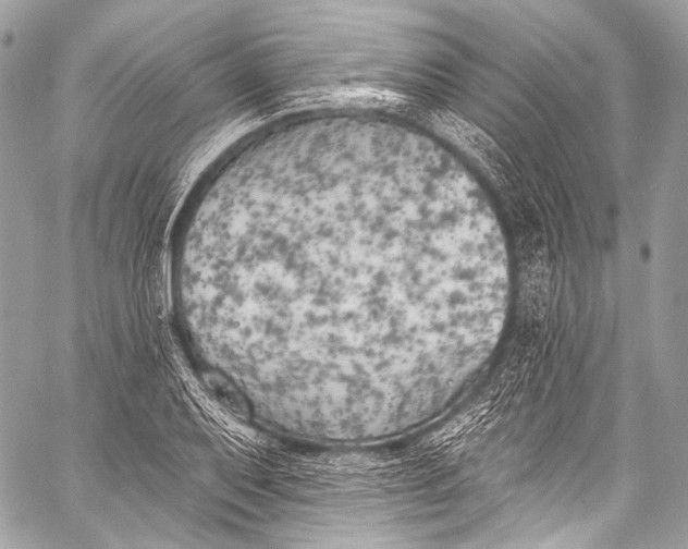 X0000058811079200510171528