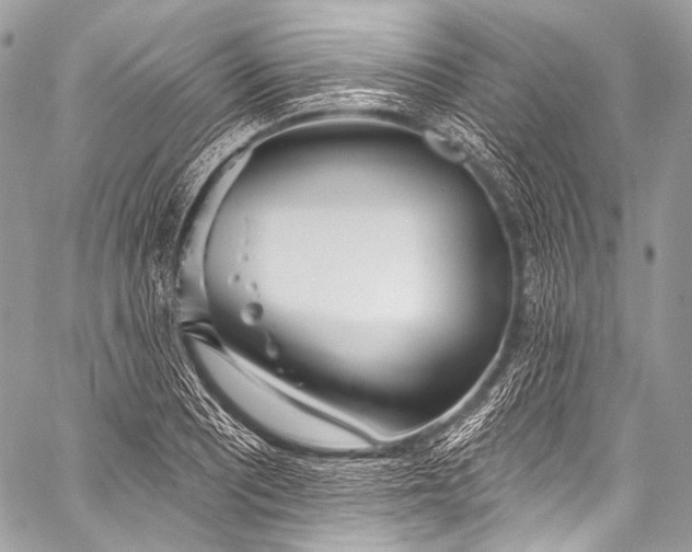 X0000058811081200510171528