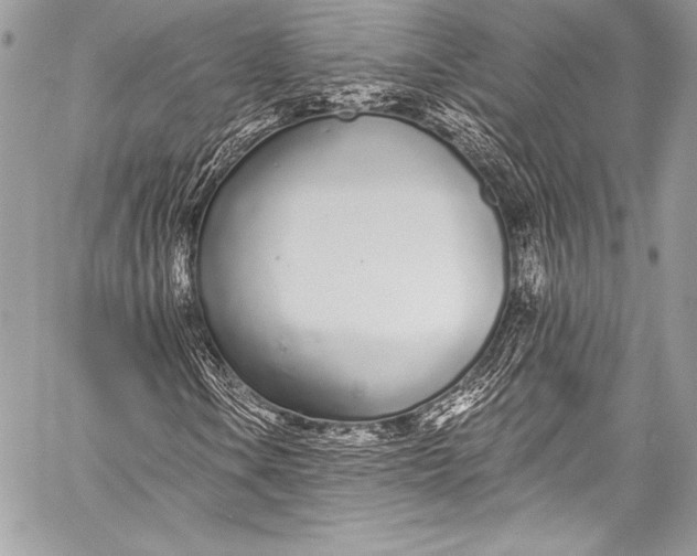 X0000058811106200510171527