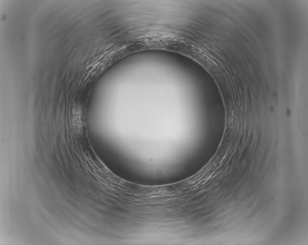 X0000058811108200510171527