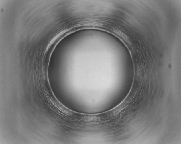 X0000058811120200510171527