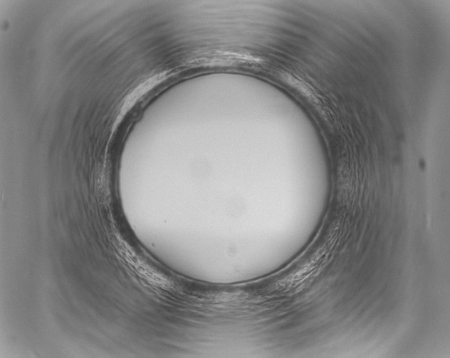 X0000058811122200510171527