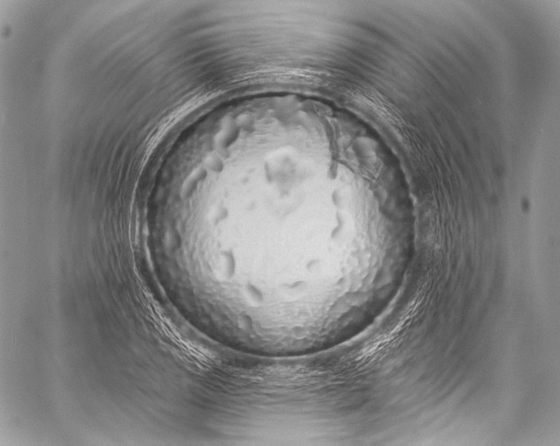 X0000058811125200510171527