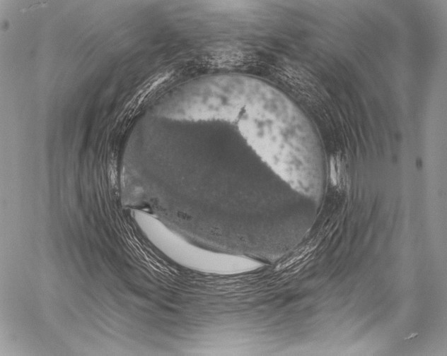 X0000058811155200510171527