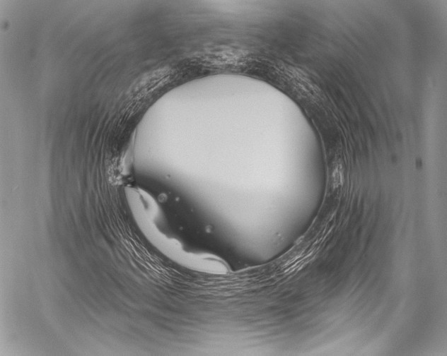 X0000058811156200510171527