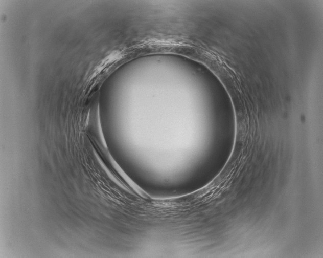 X0000058811157200510171527