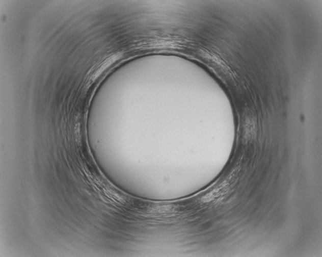 X0000058811162200510171527