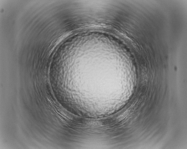X0000058811170200510171527