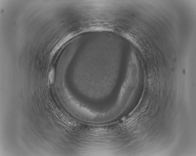 X0000058811173200510171527