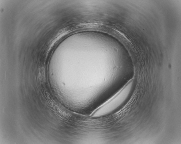 X0000058811174200510171527