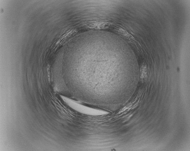 X0000058811202200510171526