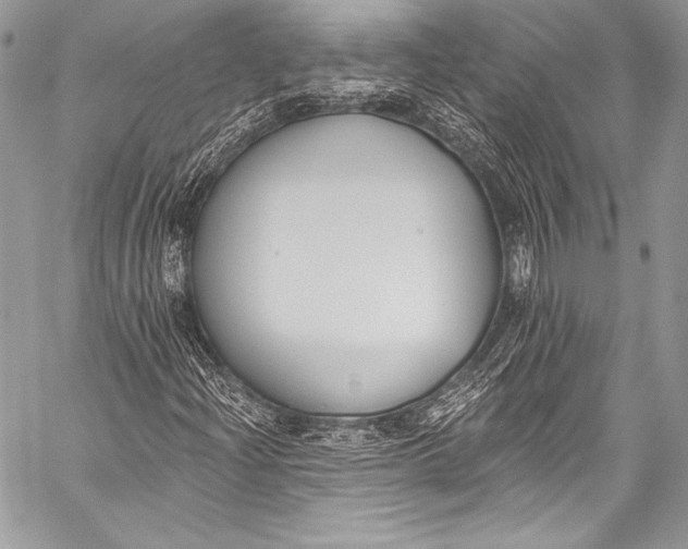X0000058811204200510171526