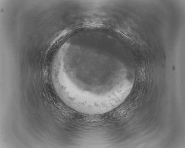 X0000058811254200510171526