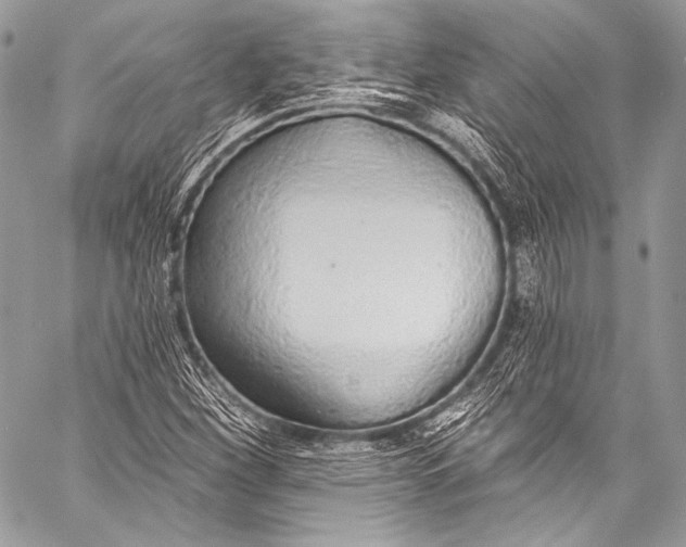 X0000058811260200510171525